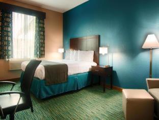Best Western Wesley Chapel Room photo